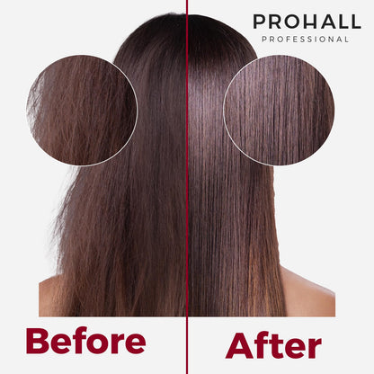 Prohall Cosmetic Heat Protectant for Hair - Leave in Thermal Protector Cream - Nourish & Hydrate Hair - Reduce Frizz & Prevent Split Ends Absolut One - 6.76 fl. Oz